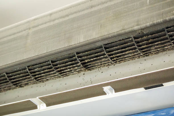 Best Air Duct Cleaning Near Me  in Orcutt, CA